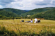 Bank_Recyclingkunststoff_Touristikservice-Fett.de rast_gielert