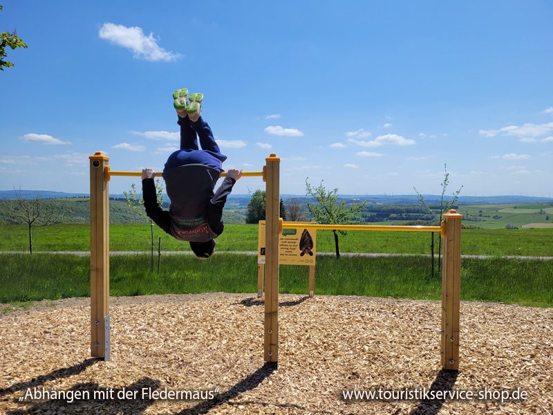 Abhängen mit der Fledermaus
