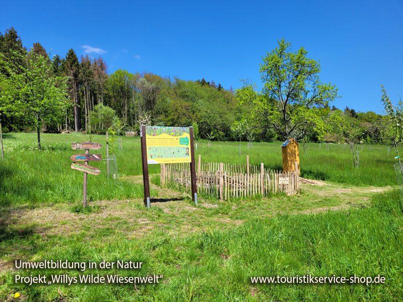 Umweltbildung in der Natur - Projekt "Willys Wilde Wiesenwelt"